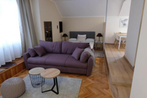 Apartment Saraga Centre 2